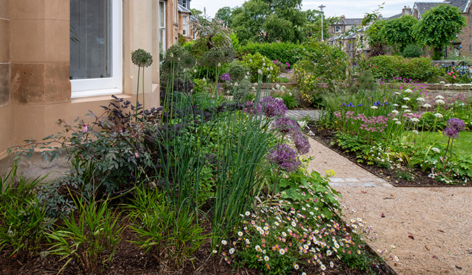 A garden design in Grange